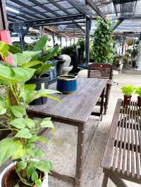 Stunning Gardens by AGRO Nursery