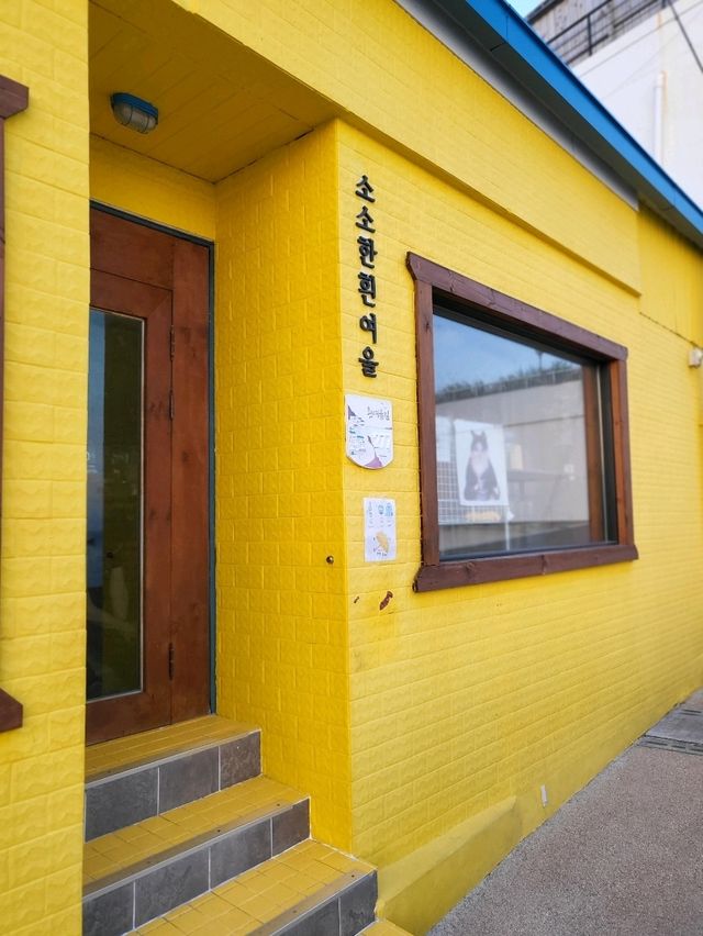조용하고 한적했던 흰여울문화마을의 일몰🧡