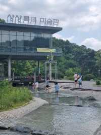 서울 도심 한복판에서 찾은 피크닉 명소