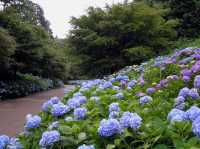 神戶市立森林植物園