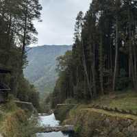 Alishan National Park 