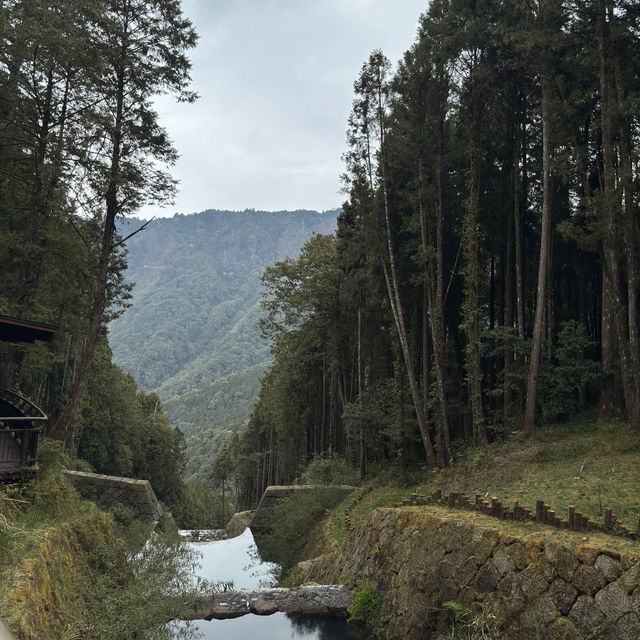 Alishan National Park 