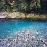 NZ South Island of nature and adventure