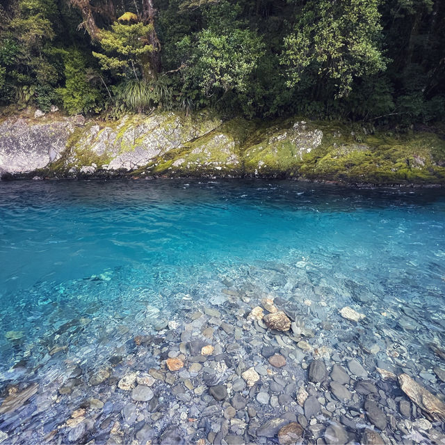 NZ South Island of nature and adventure
