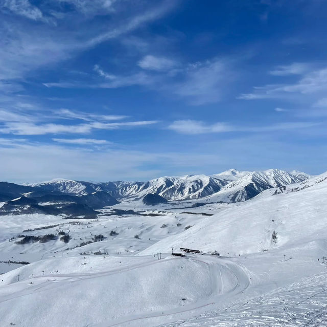 韓國阿爾卑斯滑雪場：冬季天堂