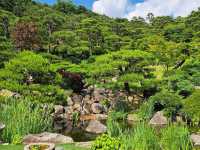 Hwadam Forest