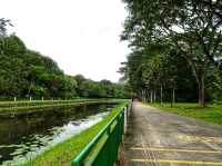 Springleaf Nature Park