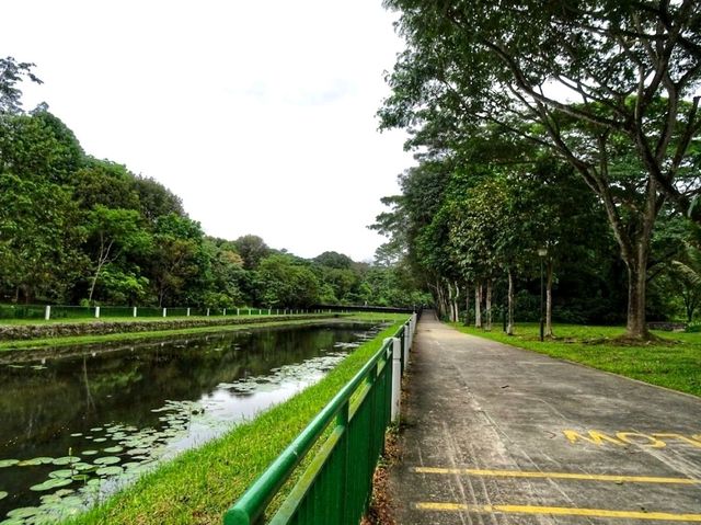 Springleaf Nature Park