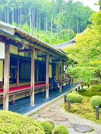 〜京都府〜もはやアート！穴場日本庭園
