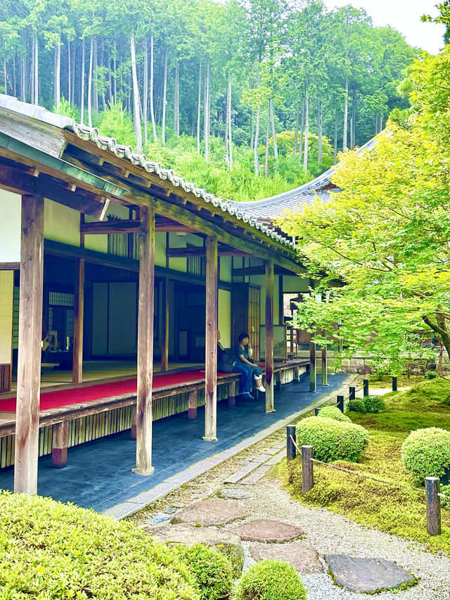 〜京都府〜もはやアート！穴場日本庭園