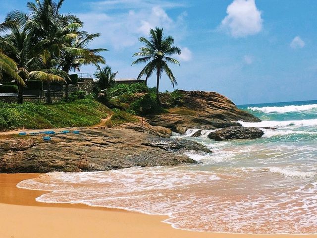 🏖️ Relaxing Beach Stay in Sri Lanka