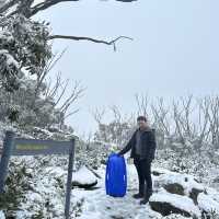 Lake Mountain in Victoria state, Australia 30th of June, snow falling there.