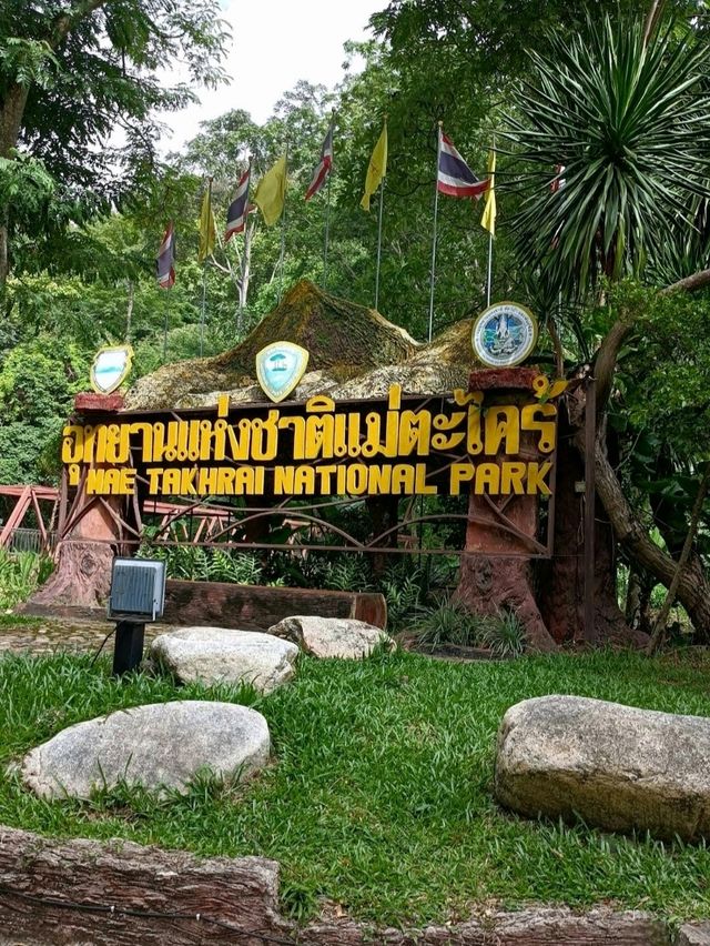 น้ำใสเต็มลำธาร ในอุทยานแห่งชาติแม่ตะไคร้