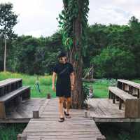Jungle Space Village : | นครพนม