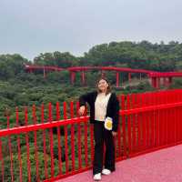 สะพานแดง ในป่าเมืองจีน深圳树林里的红色桥