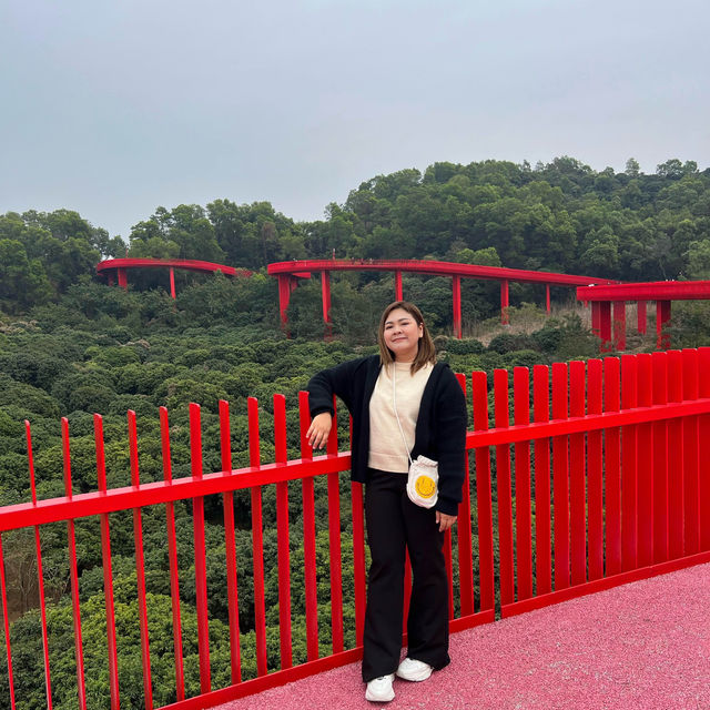 สะพานแดง ในป่าเมืองจีน深圳树林里的红色桥