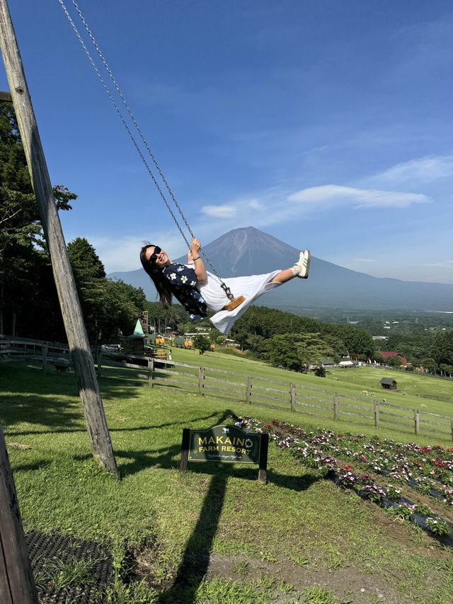 富士山自駕遊 🗻 尋找隱世秘景！