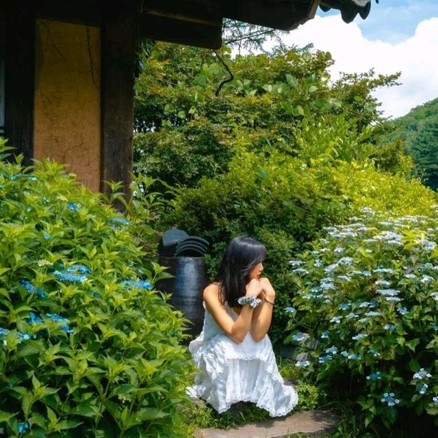 Uncover Seoul's Hidden Beauty 🇰🇷🌿
