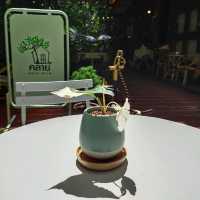 Claai Cafe & Eatery คาเฟ่น่ารัก ในแม่กำปอง
