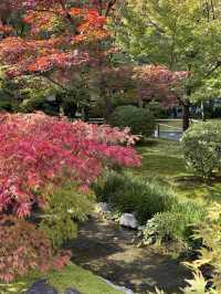 〜京都府〜紅葉の名所永観堂(えいかんどう)