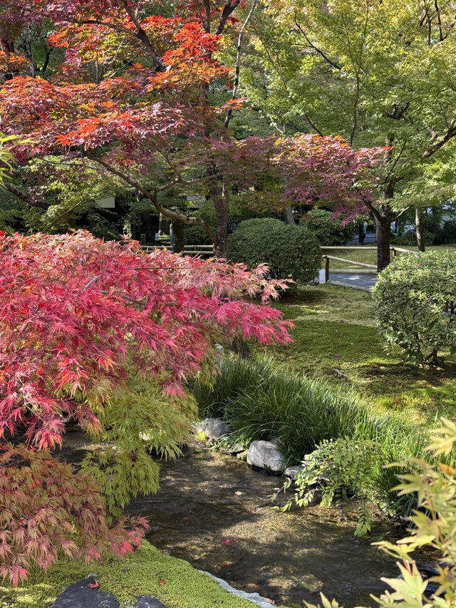 〜京都府〜紅葉の名所永観堂(えいかんどう)