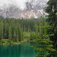 【湖畔寶藏】Wilcox Lake～放鬆身心、親近自然的絕佳去處