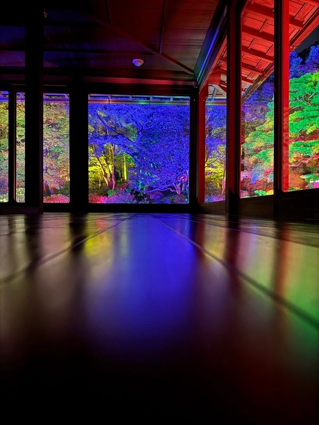 〜滋賀県〜美しすぎる旧竹林院ライトアップ✨