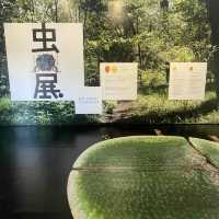 【大分】世界的な建築家 坂 茂 氏の設計による開放感溢れる美術館✨