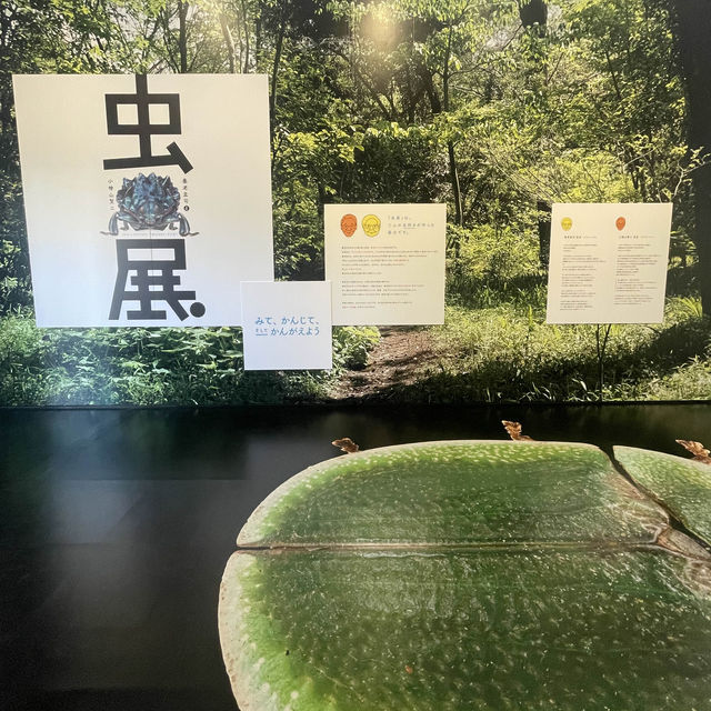 【大分】世界的な建築家 坂 茂 氏の設計による開放感溢れる美術館✨
