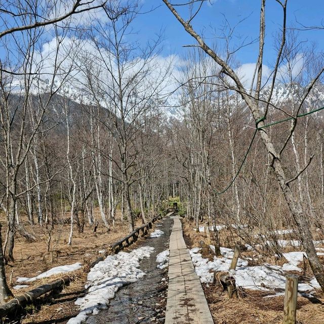 初夏開山的殘雪美景，上高地健行之旅。