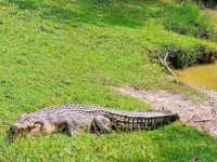 Paya Indah Wetlands