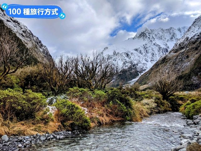 紐西蘭南島-Monkey Creek 欣賞可愛的啄羊鸚鵡