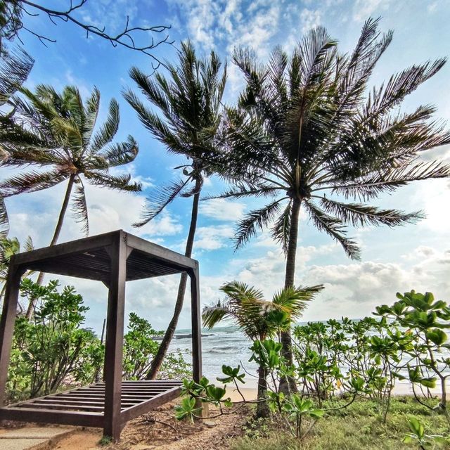 🇲🇾 Tanjung Jara Beach: Monsoon Majesty with Raw Beauty