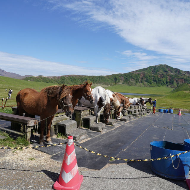【綠色天堂】草千里之濱：馬匹體驗、停車場、火山博物館，適合晴朗天氣
