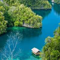 A Diver’s Paradise: The Untouched Beauty of Raja Ampat