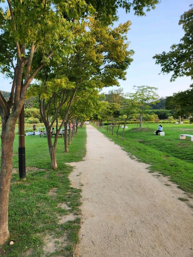 다양한 산책로가 있는 야외데이트장소 태화강국가정원❤️