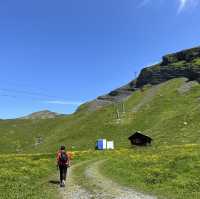 Grindelwald- one of the place not to miss while you are in Switzerland!! 