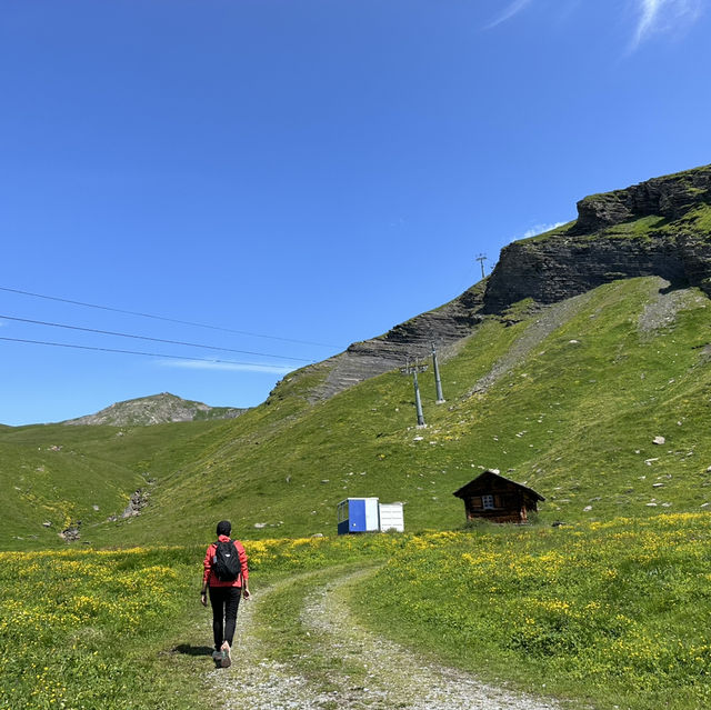 Grindelwald- one of the place not to miss while you are in Switzerland!! 