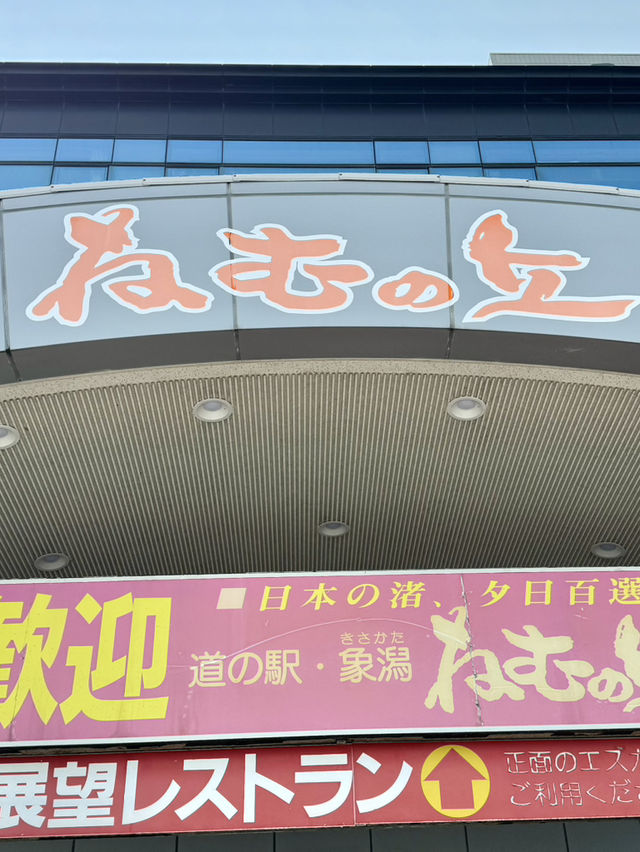  【秋田(にかほ市)】新しくできた「道の駅ねむの丘」にあるモンベルでレンタルサイクル