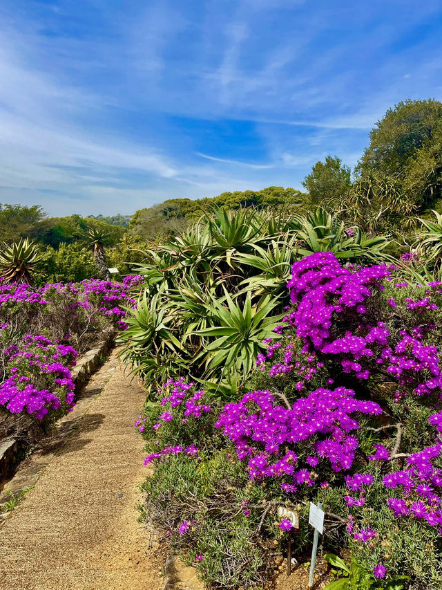 One of the world's most famous botanical gardens 🌸