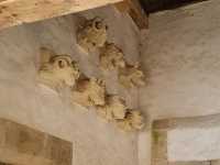 Stepping into History: Lacock Abbey's Enchanted Realm