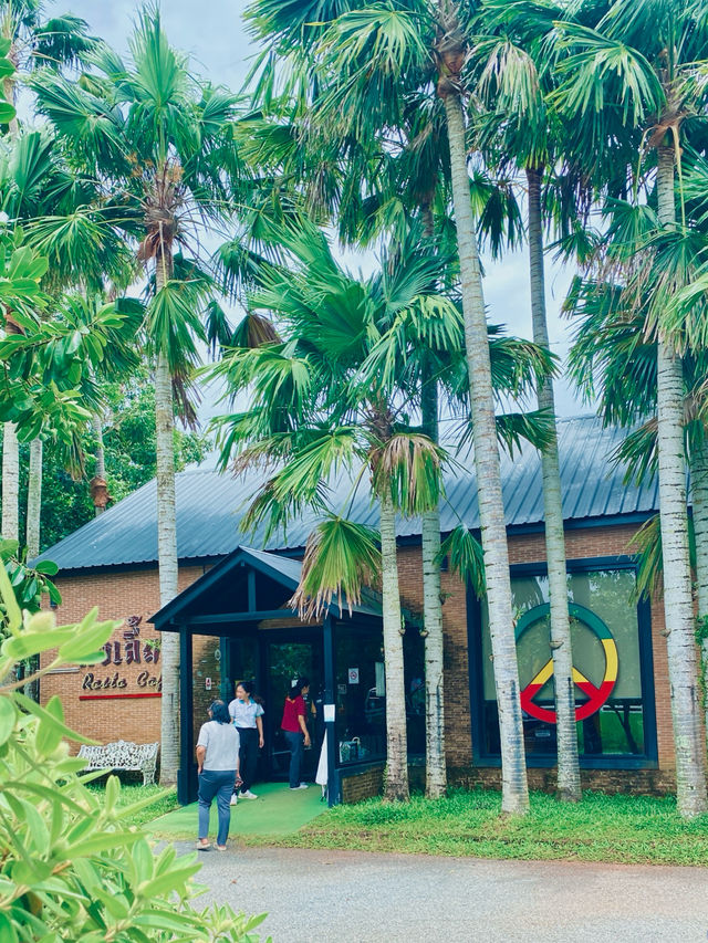 🧋ก๋งเลี้ยง Rasta นาข้าวคาเฟ่🥤| ตราด☕️