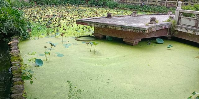 國恩寺