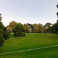 【8月好去處】明納努公園🌳花香彌漫