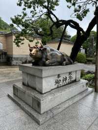 【福岡観光】124年ぶりの大改修✨️森の仮殿🌳