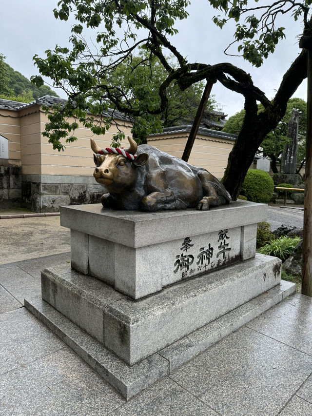 【福岡観光】124年ぶりの大改修✨️森の仮殿🌳