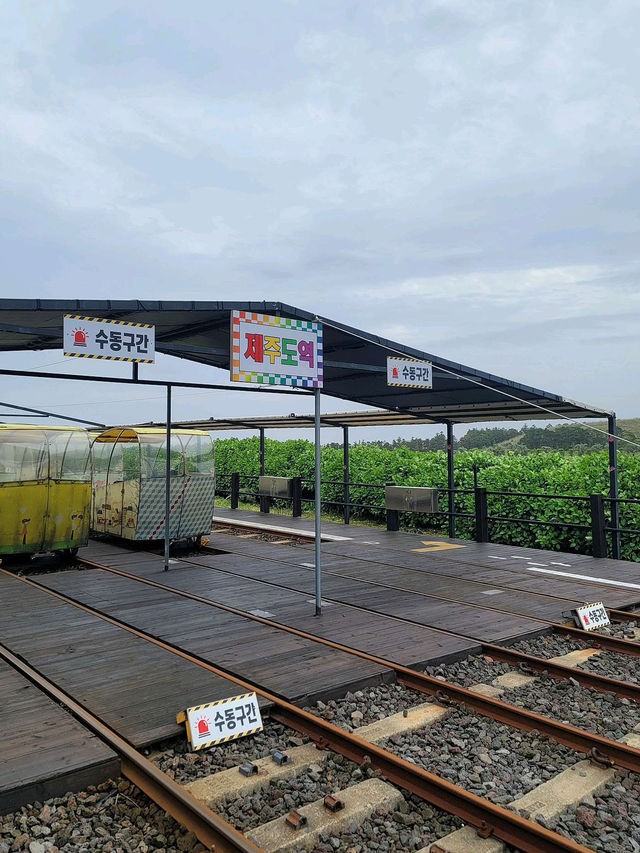 🚞제주 레일바이크 여행 