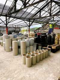 Transforming Spaces with AGRO Nursery’s Landscaping Service