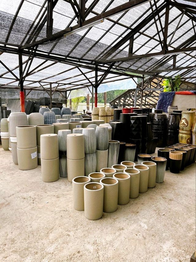 Transforming Spaces with AGRO Nursery’s Landscaping Service