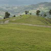 Akha FarmVille คาเฟ่และฟาร์มแกะดอยช้าง